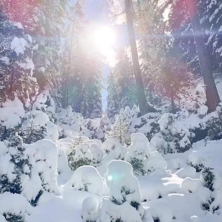 Gaesteheim Kroessbach דירה