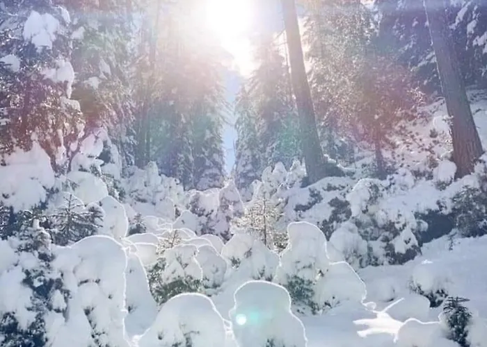 Gaesteheim Kroessbach Διαμέρισμα